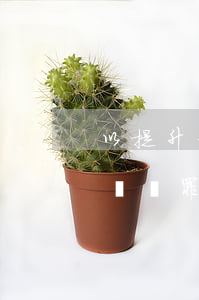 以提升信用卡額度詐騙是以什么罪判刑？是詐騙罪嗎？